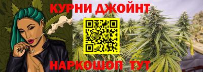 гидра Малгобек