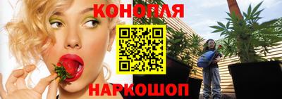 ALPHA PVP Моздок