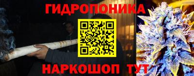 гидра Малгобек