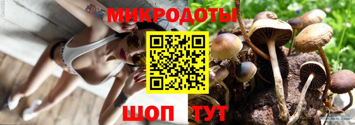 Псилоцибиновые грибы MAGIC MUSHROOMS Владикавказ